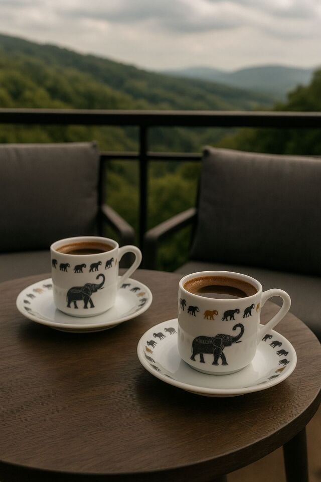 KAHVE FINCANI 2'Lİ SET